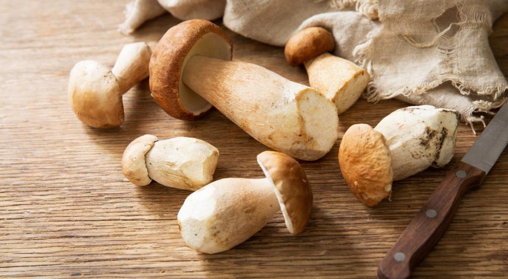 Как заморозить белые грибы на зиму, полезные советы плюс быстрый рецепт  грибного супа — читать на Gastronom.ru
