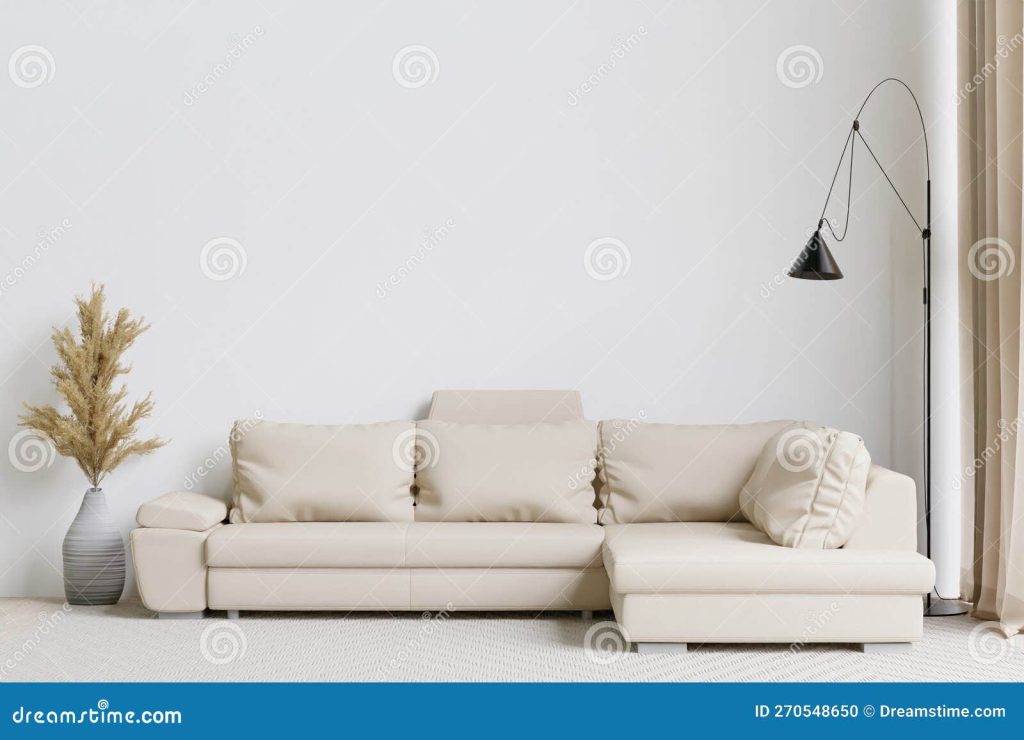 большая белая гостиная интерьер дизайн белой диваной ковровая лампа и дерево  в стена вазы для насмешки и копирования пространства Стоковое Фото -  изображение насчитывающей молния, уговариваний: 270548650