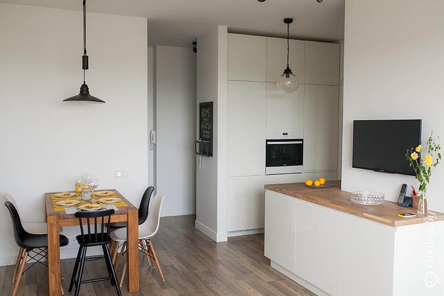 Кухня-гостиная в скандинавском стиле в небольшой однокомнатной квартире (14  фото)