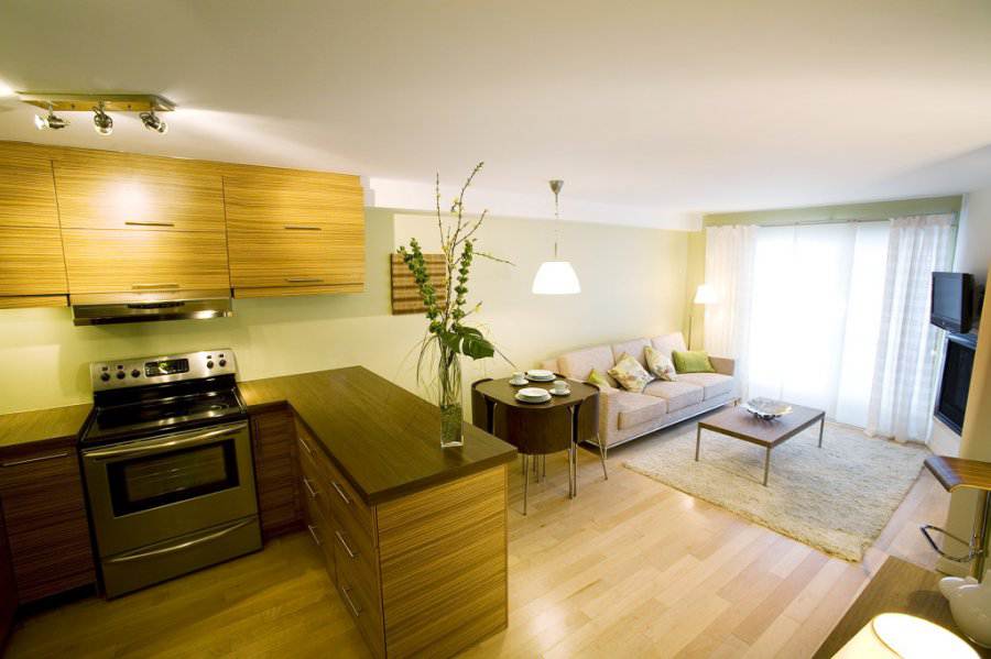 Кухня гостиная 20 кв.м. - дизайн и полезные советы – интернет-магазин  GoldenPlaza